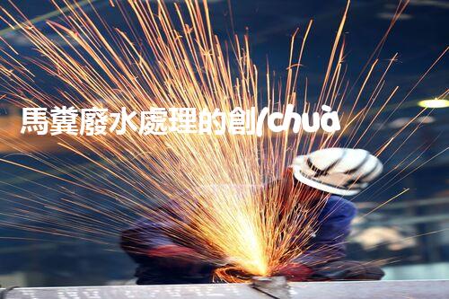 馬糞廢水處理的創(chuàng)新技術(shù)與應(yīng)用？